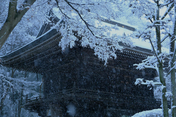 多福寺　　2018年　埼玉県三芳町