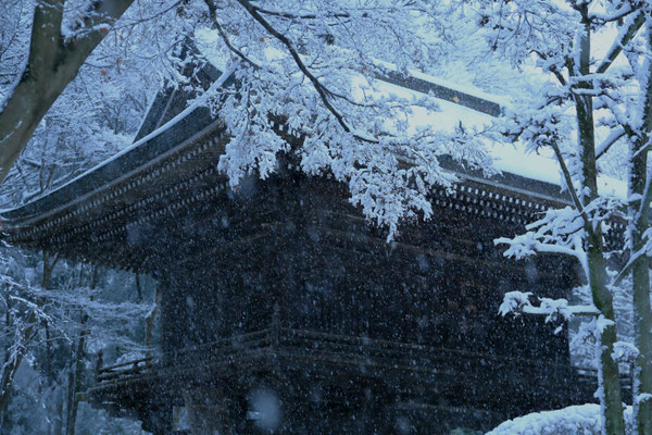 多福寺　　2018年　埼玉県三芳町