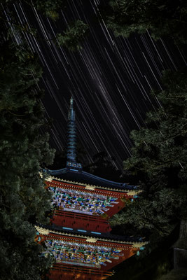 星霜を経て　　栃木県日光東照宮