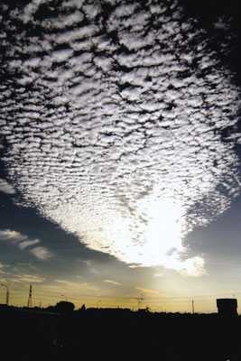 鱗雲町を覆う　　2019年　第34回埼玉の自然【入選】　　　埼玉県秋ヶ瀬