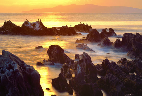 夕照　　　2019年　第36回埼玉県写真サロン【特選】(全日写連関東本部長賞)　　