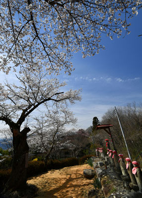 音楽寺