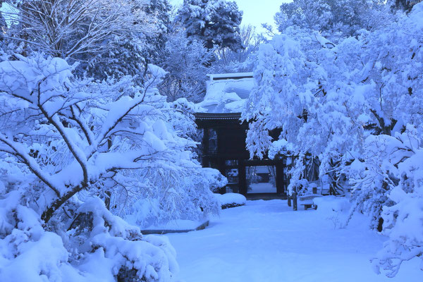 多福寺　　2018年　埼玉県三芳町