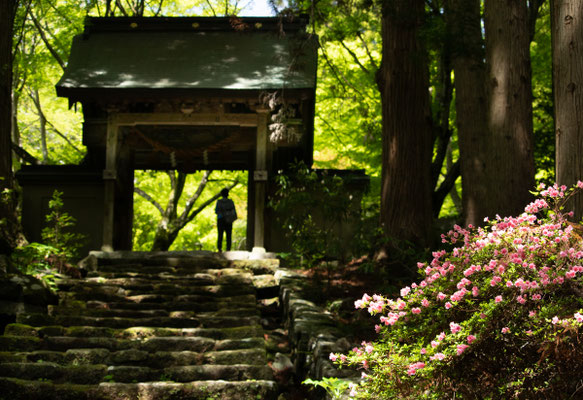 古き門にたたずむ　　大分県