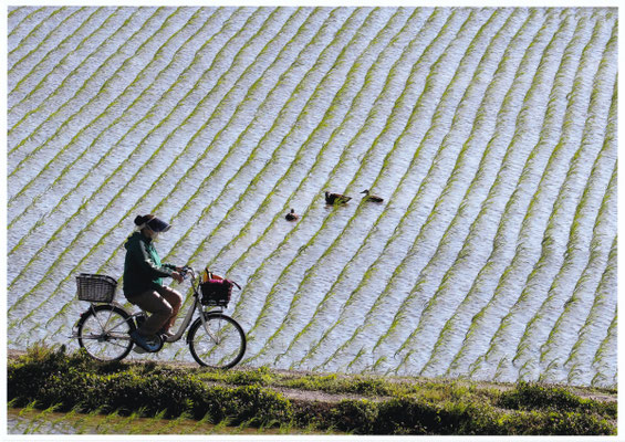 強風渦水守農婦　　2023年　第40回「県写真サロン」  【佳作】