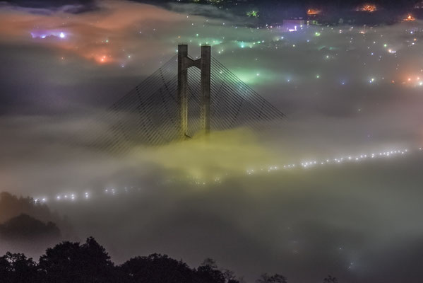 夜霧のパークブリッジV-Ⅱ　第35回「日本の自然」　【入選】　埼玉県秩父市