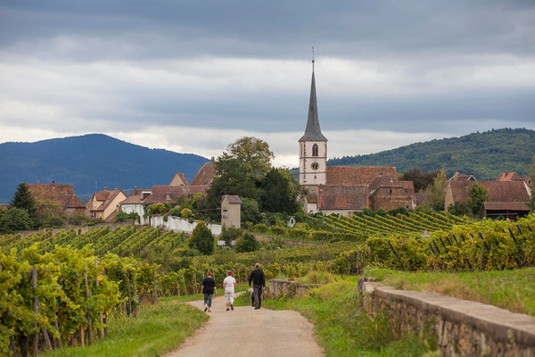 Photos de paysages - Mittelbergheim, village viticole en Alsace - Dominique MAYER - Photographie - www.dominique-mayer.com