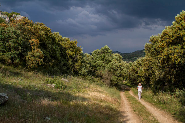 Los Penas de Los Gitanos en Espagne - Site archéologique préhistorique - Site nécrologique préhistorique -  Photos de paysages en Espagne - Vacances en Espagne - Dominique MAYER - www.dominique-mayer.com