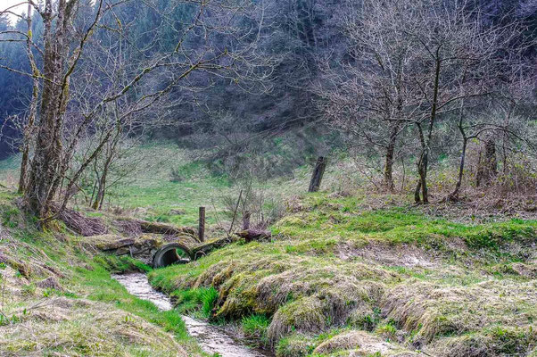 Photos de paysages - Lusse, Vosges - Dominique MAYER - Photographie - www.dominique-mayer.com