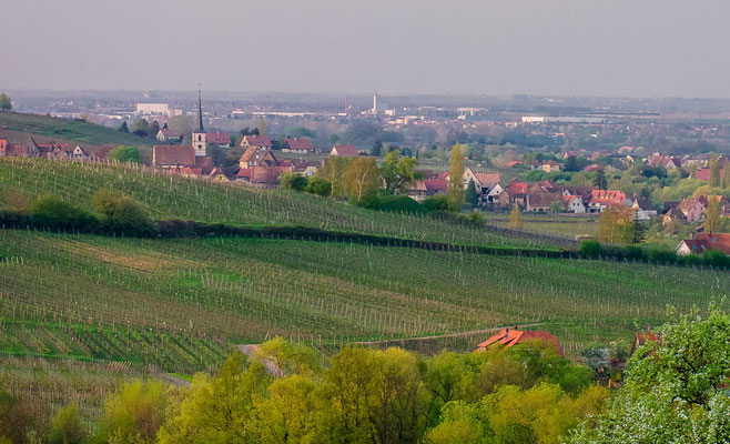 Photos de paysages - Mittelbergheim, village viticole en Alsace - Dominique MAYER - Photographie - www.dominique-mayer.com