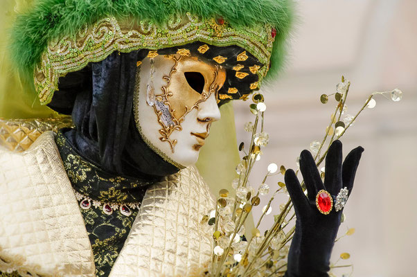 #Carnaval de #Venise - #Masques de Venise - #Rosheim 2010 - #DominiqueMAYER - #Photographie - www.dominique-mayer.com