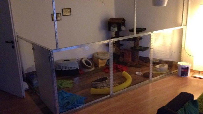 Innenhaltung - frettchen-1x1s Webseite!