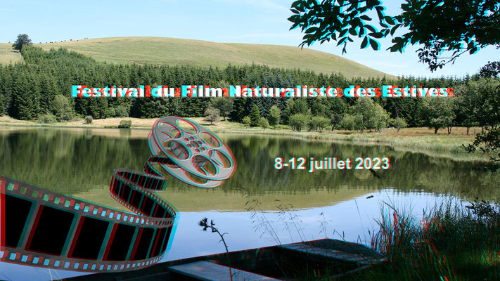 Un festival à créer