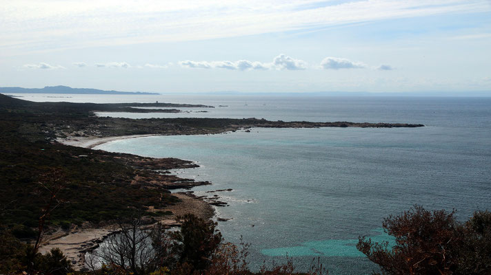 Vers Bonifacio