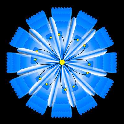 bleuet de Noël