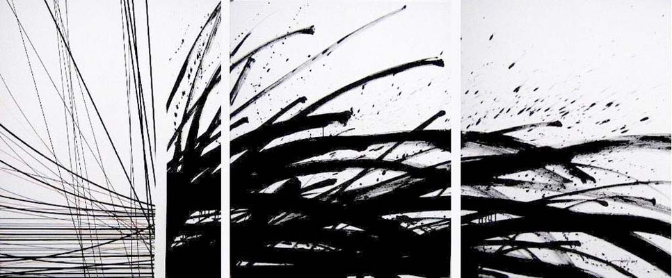 Oussema Troudi, Improvisation sur un air de Saint-Seans, Acrylique et encre sur toile, triptyque, 100x240cm, 2009.