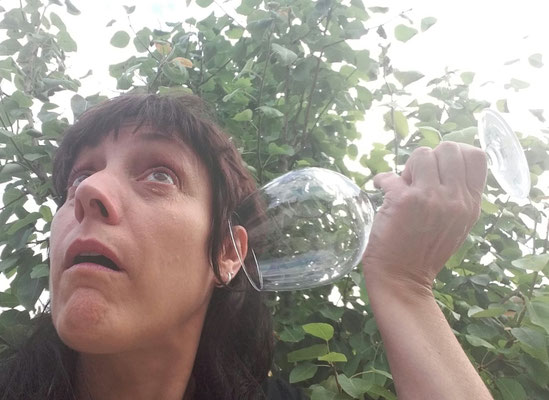 camareros falsos lleida factoría del espectaculo aniversarios