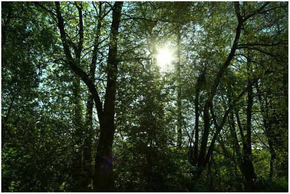 Vom Wiesenweg ins Tal