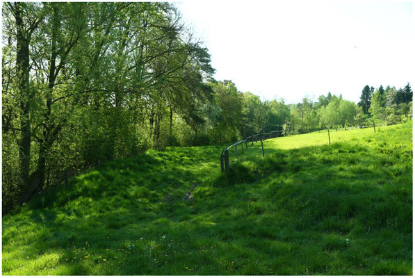 Vom Wiesenweg ins Tal