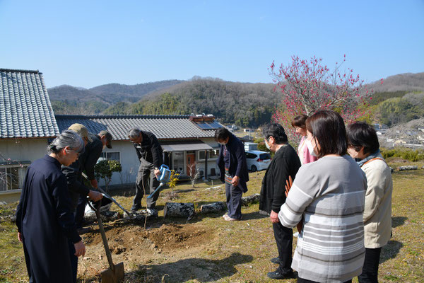 2025年3月23日（日）森牧師が兼務する十文字平和教会　創立90周年記念礼拝の日　礼拝前に八重桜の記念植樹