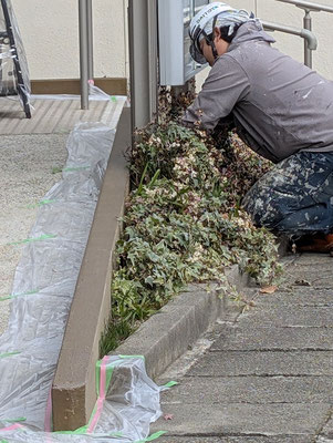 2024年12月21日（土）午前9時半頃　ここまで塗装して下さるのです。これは、見積の段階で「サービス」となっていました。塗装前の下準備中。