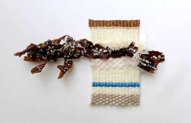 Isabelle Faivre - Tissage Végétal - Algues et coquillages