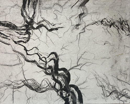 CEHEL - encre sur papier 