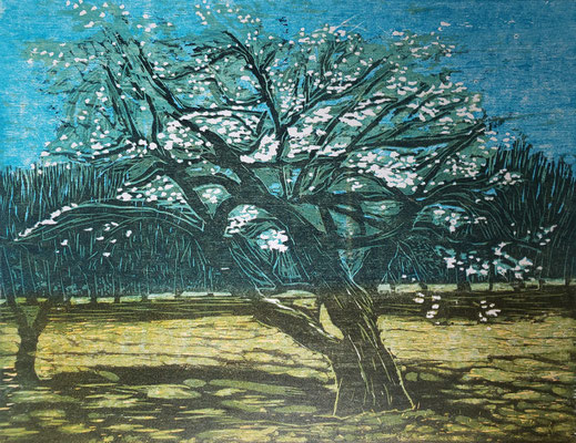 Michelle Boucard - arbre en fleurs -  27x35cm -  bois perdu 