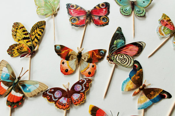 Cupcake Topper Schmetterling Butterfly bunt Muffin  Hochzeitsdekoration 