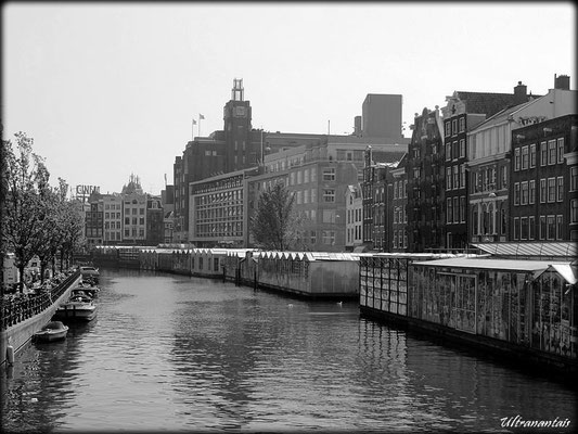 Amsterdam (Pays-Bas)