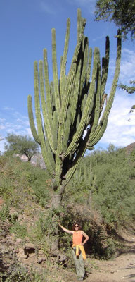 Kupfercanyon