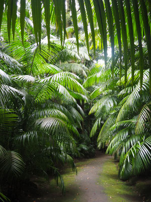 Botanical Garden Furnas - Sao Miguel
