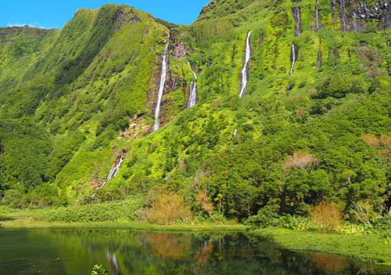 Lago dos Patos - Flores