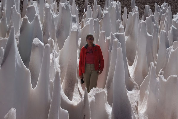 Büßerschnee am Paso Aguas Negras