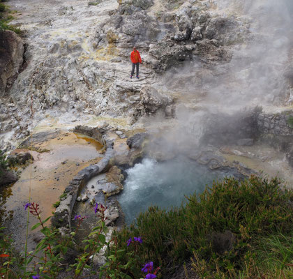 Furnas - Sao Miguel
