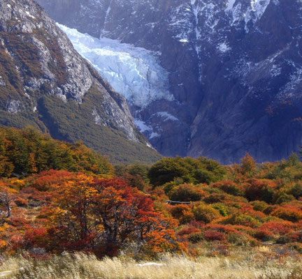Fitz Roy Gebiet