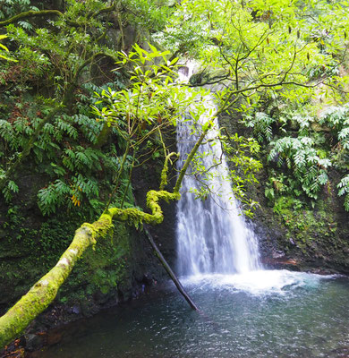 Schluchtenwanderung Faial da Terra - Sao Miguel