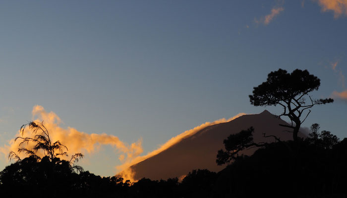 Pico im Abendlicht  - Pico