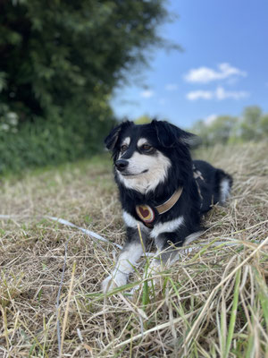 Frida unsere Prinzessin