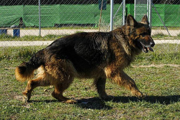 Felicitas bekommt nun futtertechnische Unterstützung