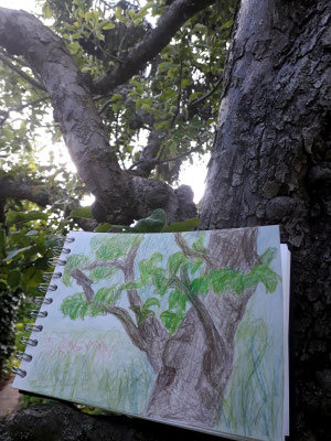 Bornholm 2,  Prenzlauer Berg