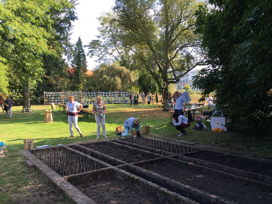 Bollen planten!