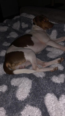14.05.2019 - Duffy die erste nacht im neuen zu Hause