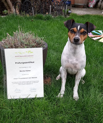 06.10.2019 - Prüfung bestanden! super Aileen ♥