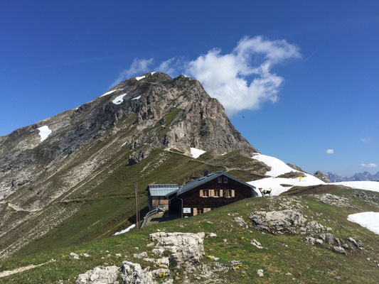 Juni 2015 - Adele (Aimy) auf der Alm 