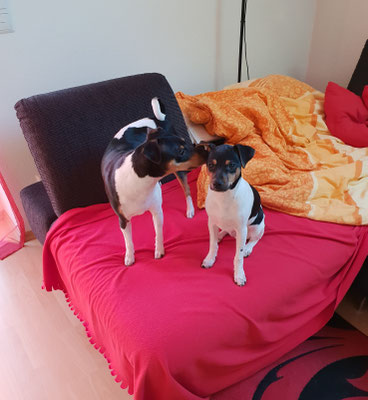 05.02.2019 - das Dreamteam ♥