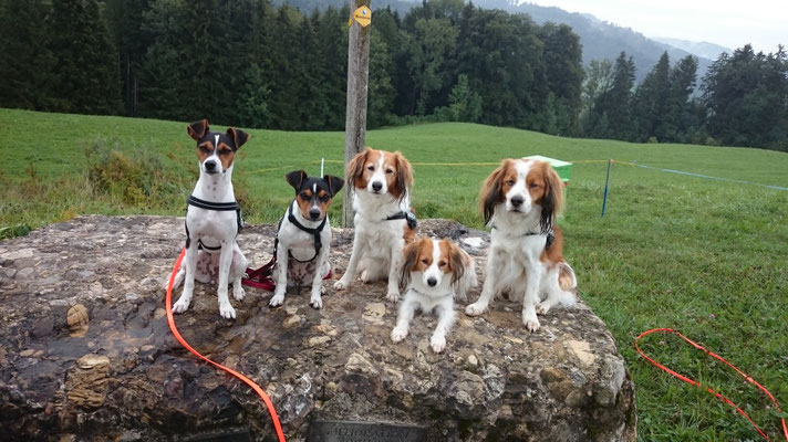 2015 - von li nach re. Aisha,Aileen,...,...,Max