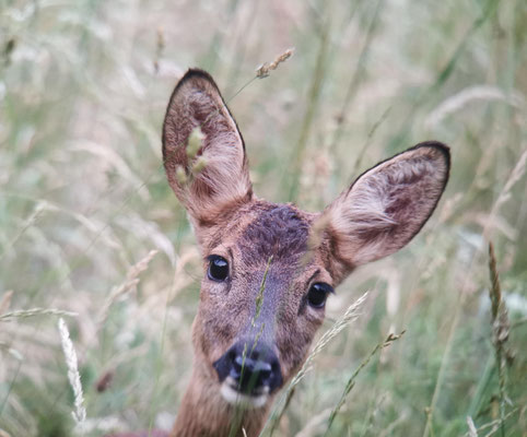 Foto Wolfgang Volgger