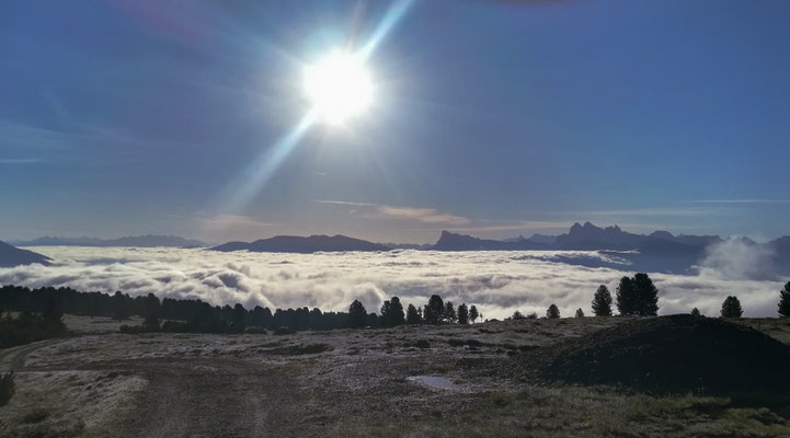 Foto Markus Winkler