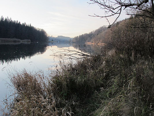 Kronburg-Oberbinnwang: Pomersau - Illerschleife